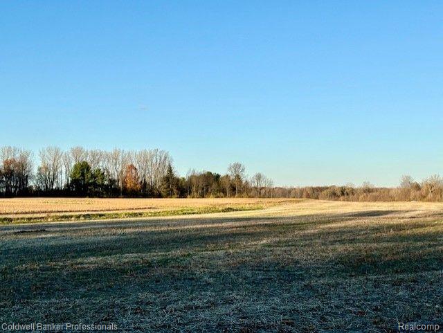 14235 Wanty Road Milan, MI 48160 - Photo 3 of 19