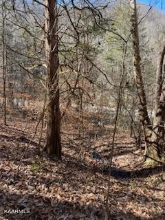 0 Walker Ford Road Maynardville, TN 37807 - Photo 3 of 17 Gallery Image 3