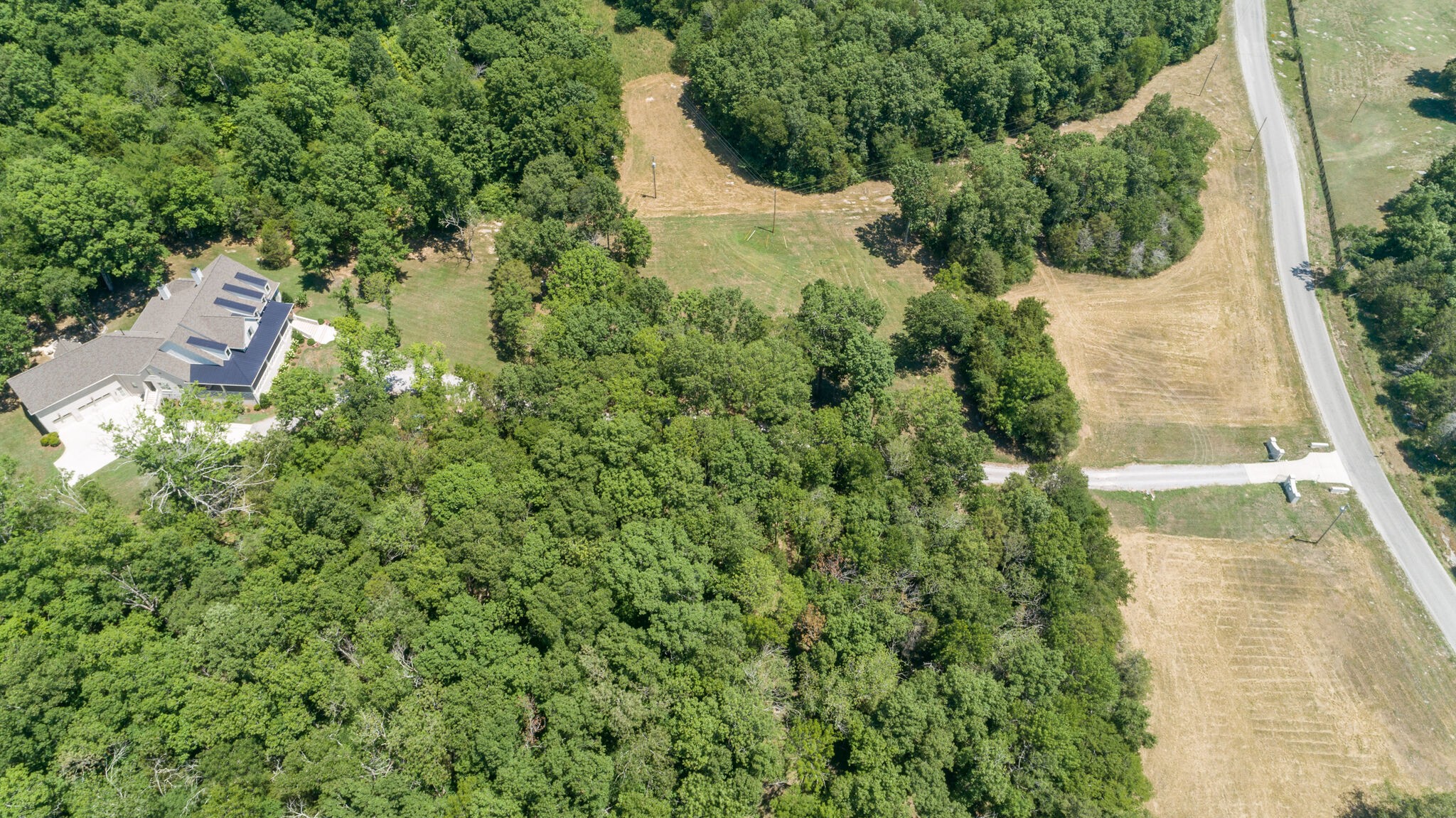 4841 Ollie Chunn Road Spring Hill, TN 37174 - Photo 62 of 69 a view of a yard with plants and large trees