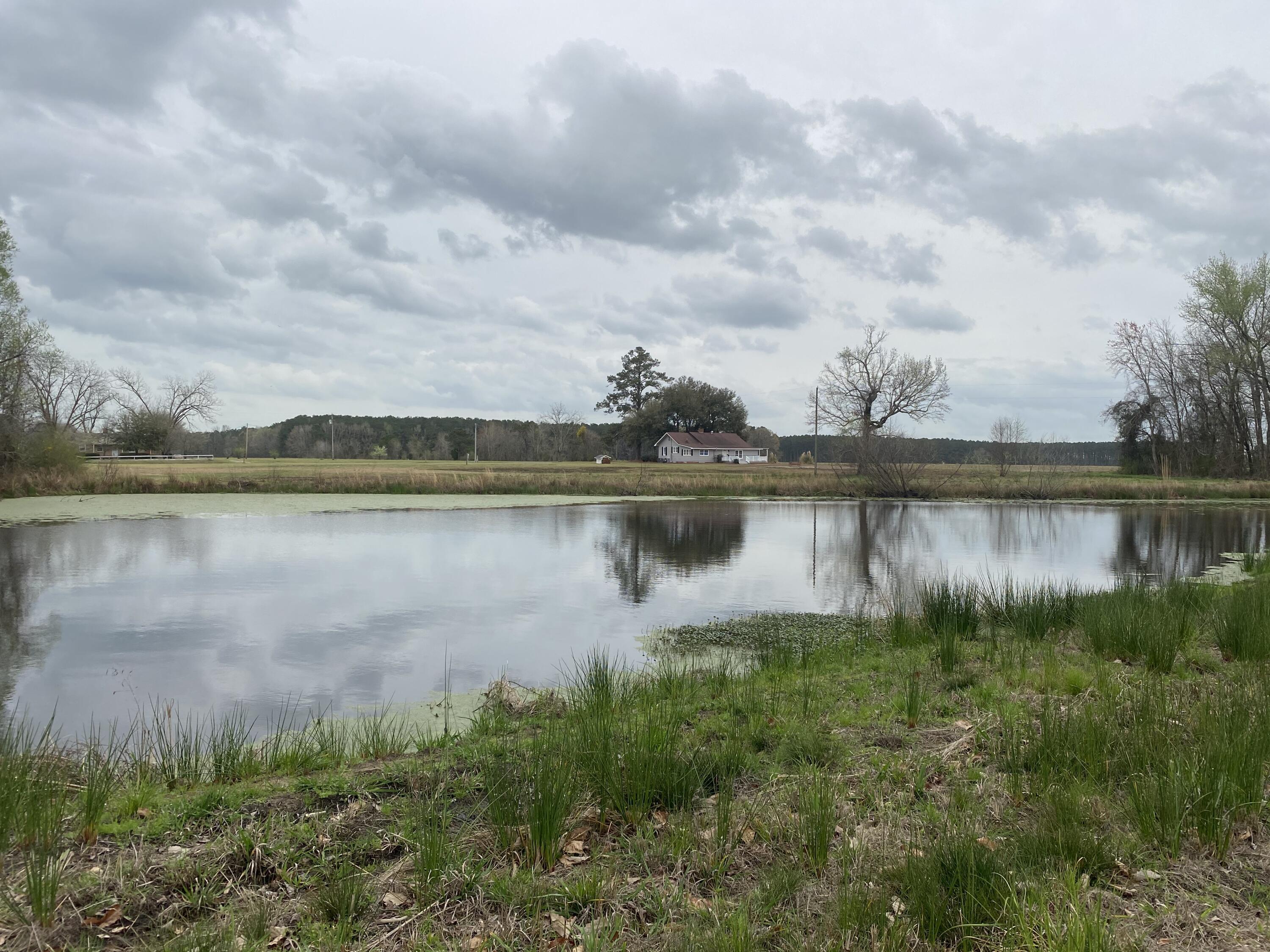511 Turner Road Nesmith, SC 29580 - Photo 2 of 25 IMG_8341