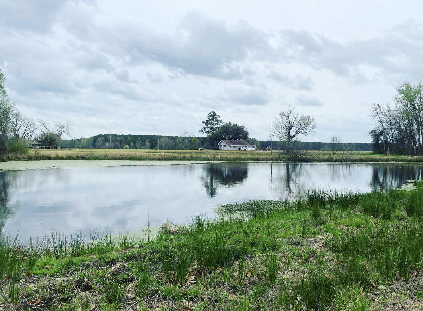 511 Turner Road Nesmith, SC 29580 - Photo 25 of 25 pond view