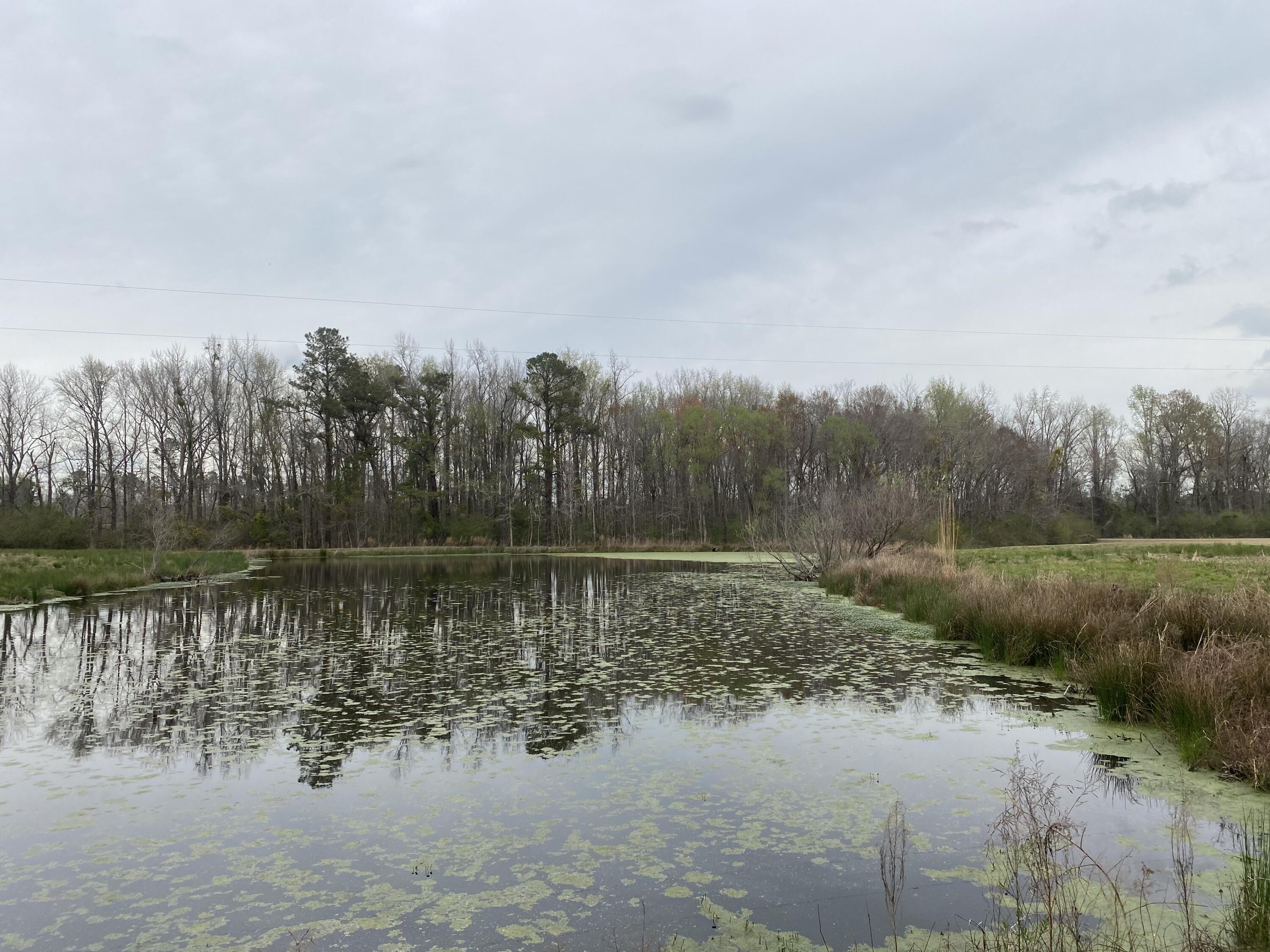 511 Turner Road Nesmith, SC 29580 - Photo 4 of 25 IMG_8331