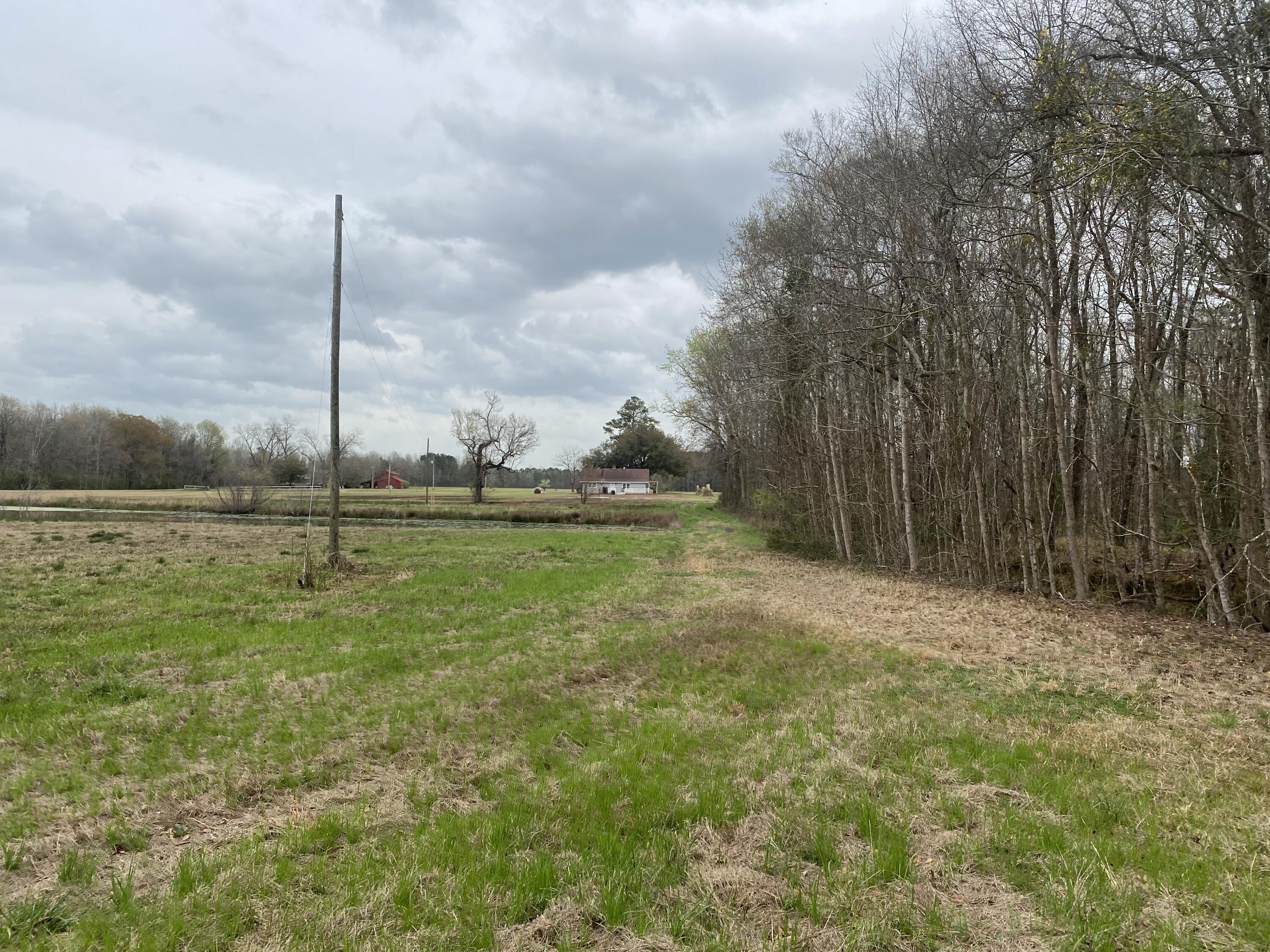 511 Turner Road Nesmith, SC 29580 - Photo 5 of 25 IMG_8332