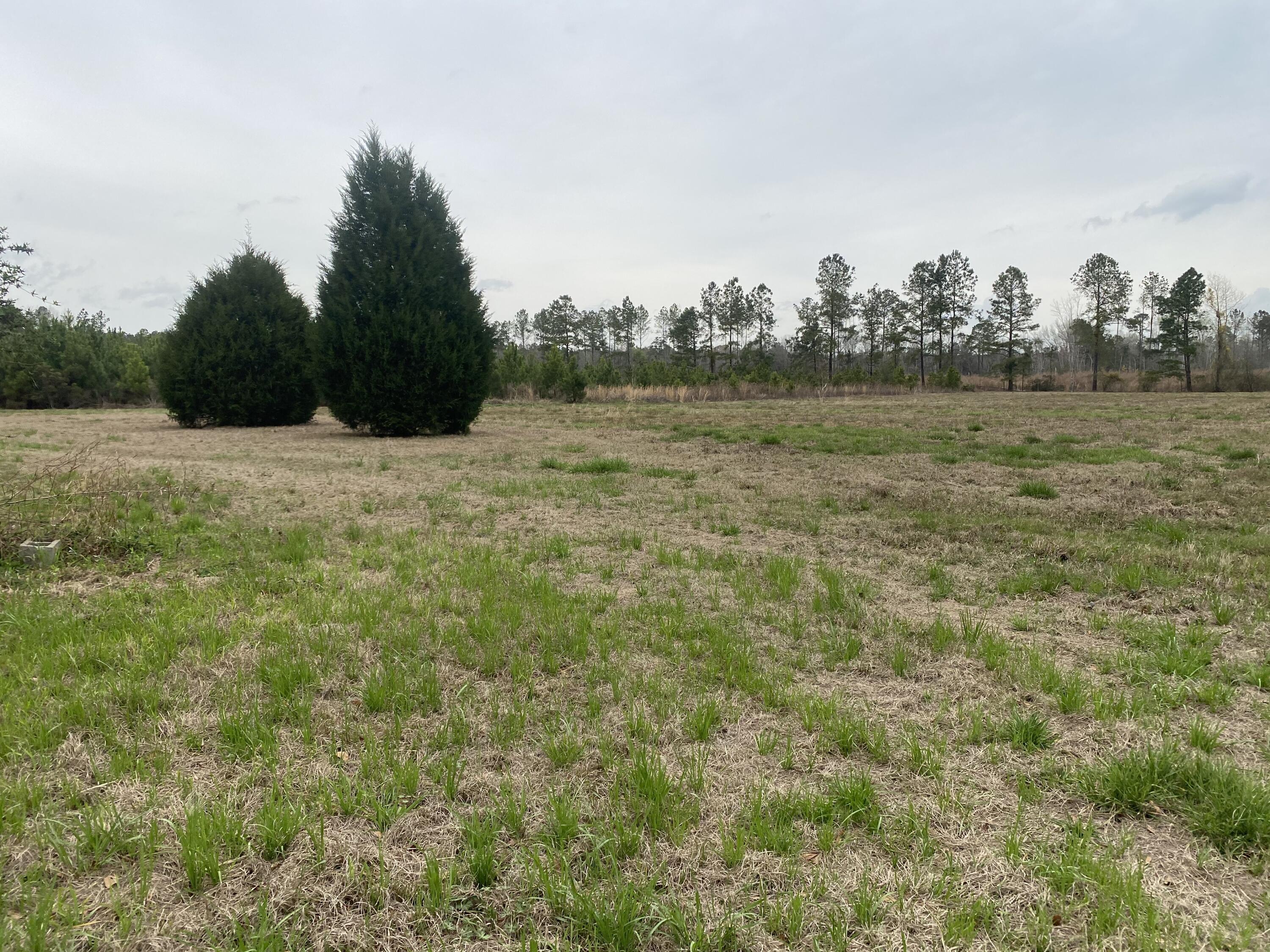 511 Turner Road Nesmith, SC 29580 - Photo 6 of 25 IMG_8333