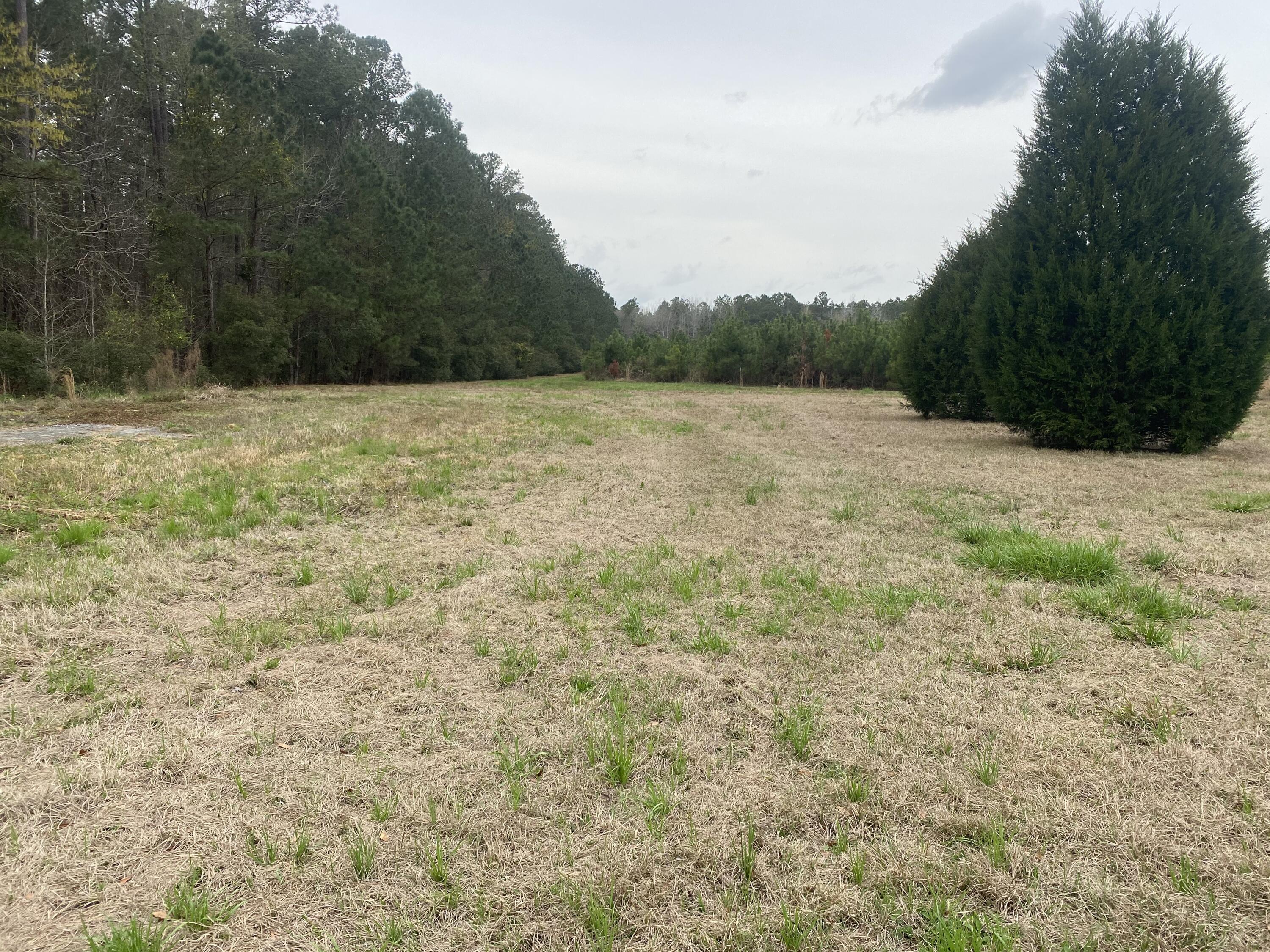 511 Turner Road Nesmith, SC 29580 - Photo 7 of 25 IMG_8334