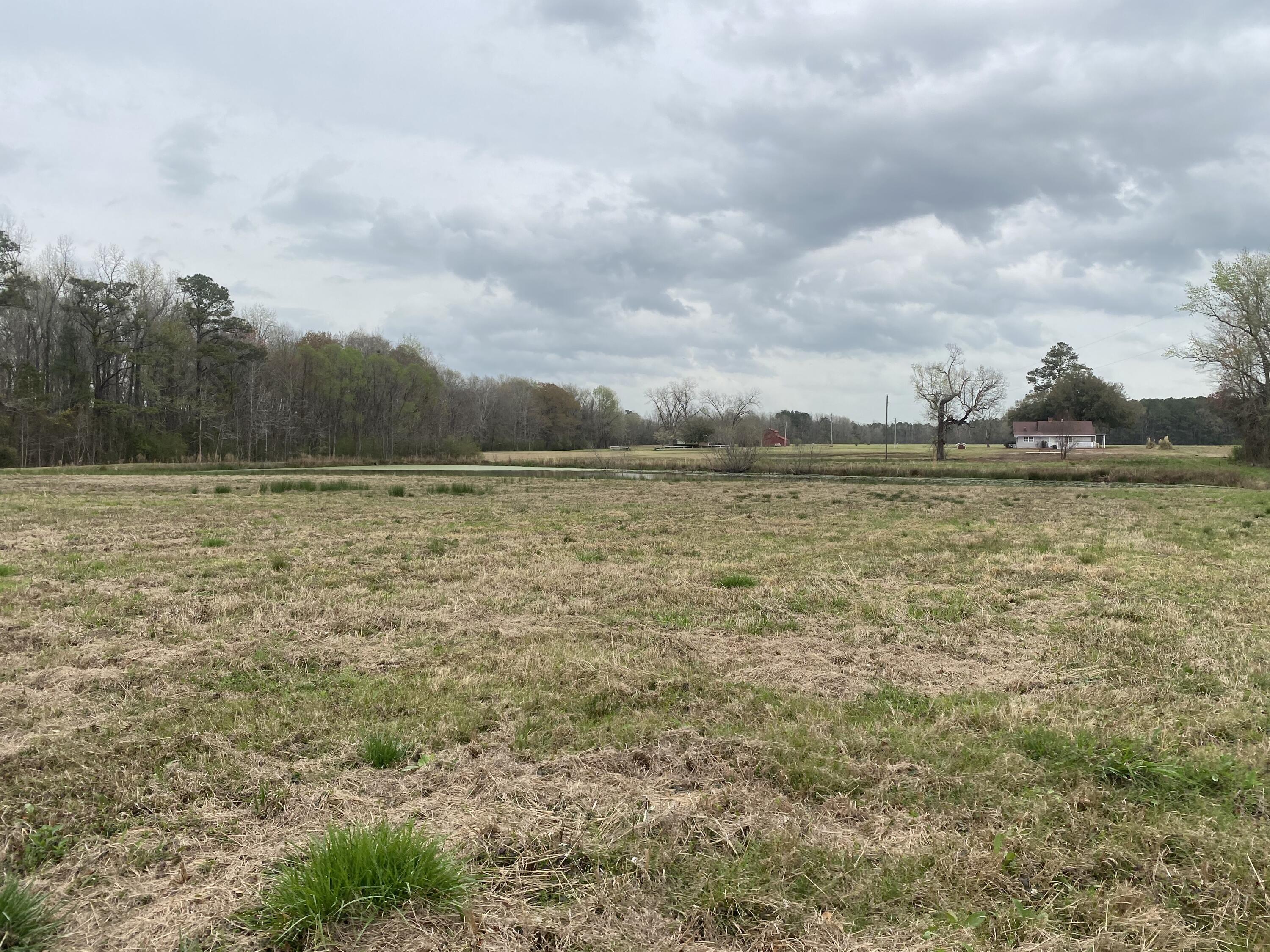 511 Turner Road Nesmith, SC 29580 - Photo 9 of 25 IMG_8336
