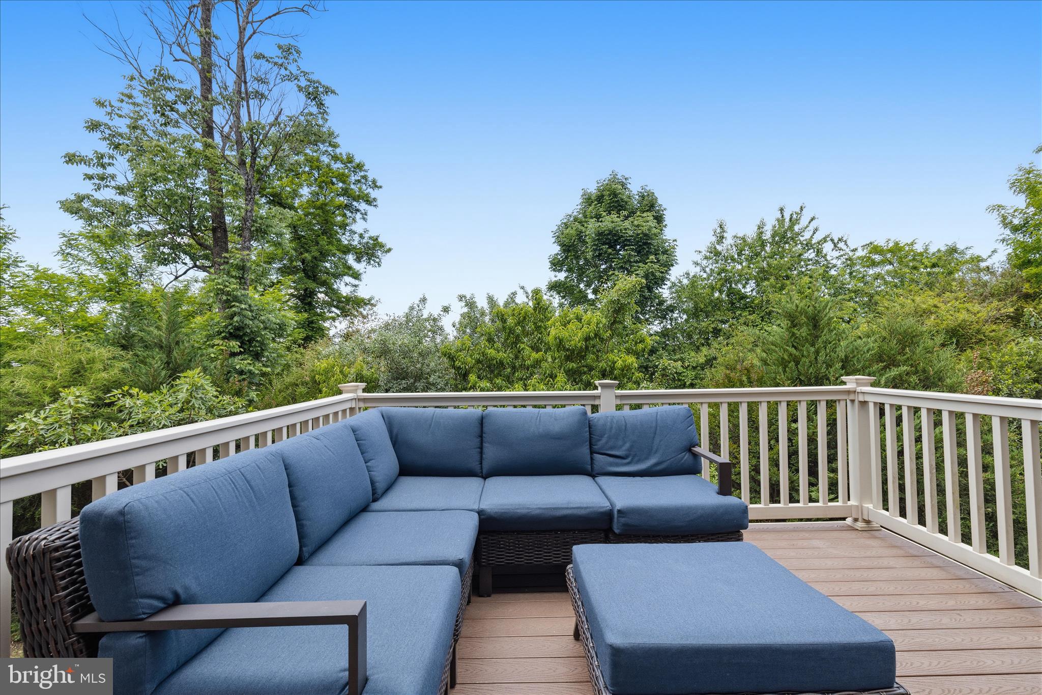1623 Fowler Ridge Court Charlottesville, VA 22901 - Photo 26 of 83