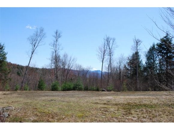 Lot #1 South Pinnacle Ridge Road Waterbury, VT 05676 - Photo 1 of 1 Gallery Image 1