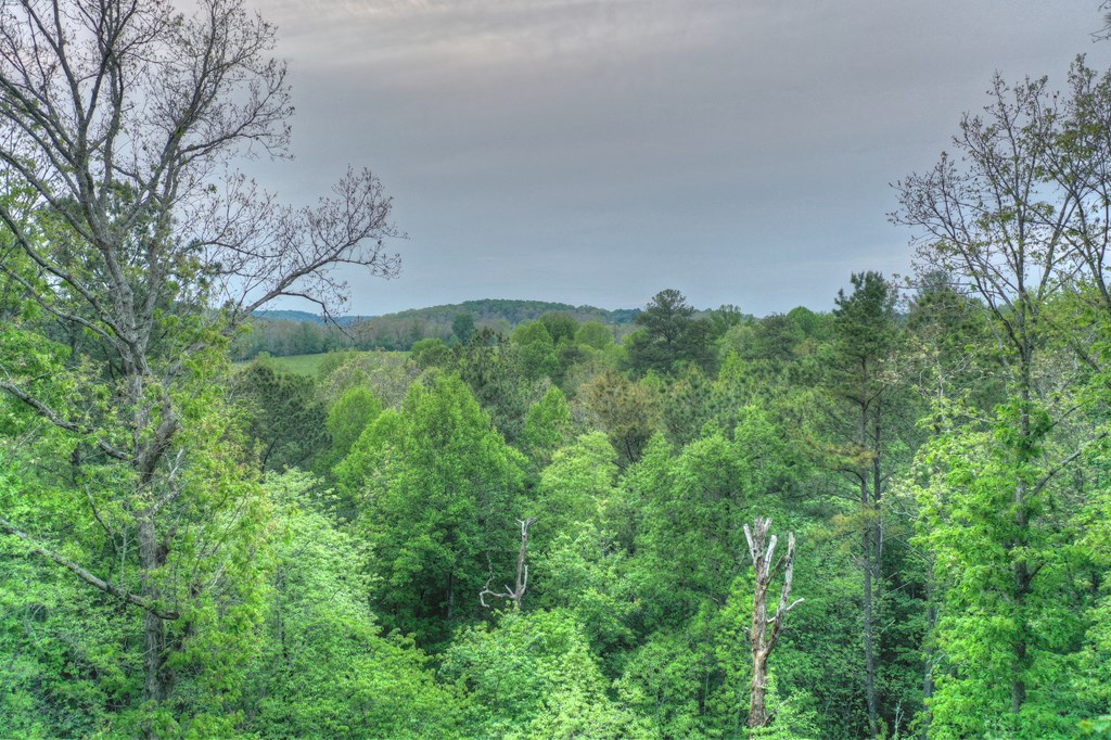 308 Windy Valley Lane Blue Ridge, GA 30513 - Photo 14 of 52