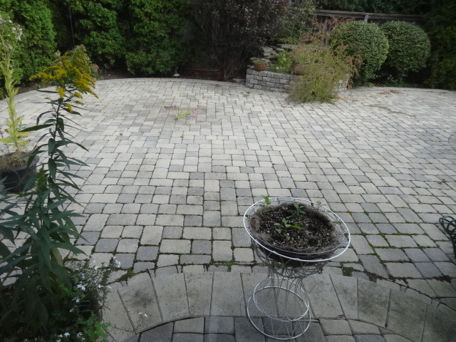8 Ridge Road Highland Park, IL 60035 - Photo 18 of 20 a view of fountain in the patio