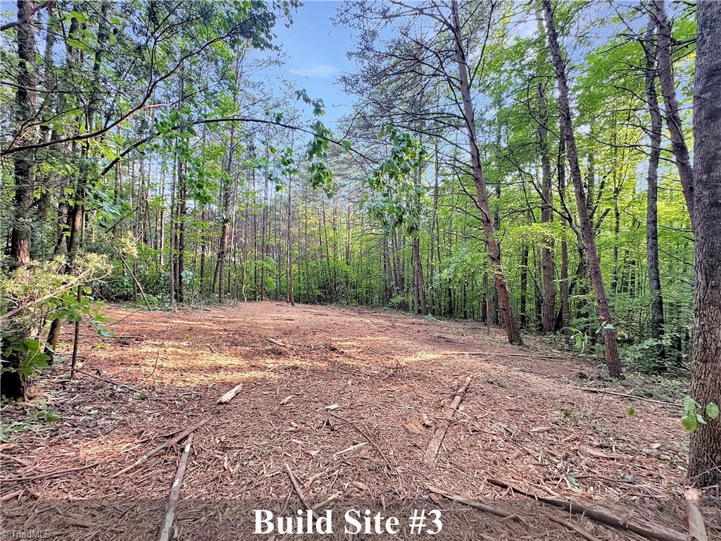 7612 Ridge Road Tobaccoville, NC 27050 - Photo 23 of 23 Gallery Image 23