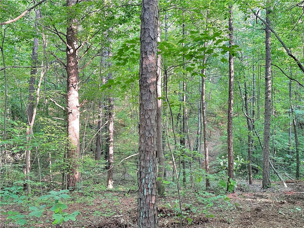 7612 Ridge Road Tobaccoville, NC 27050 - Photo 6 of 23 Gallery Image 6