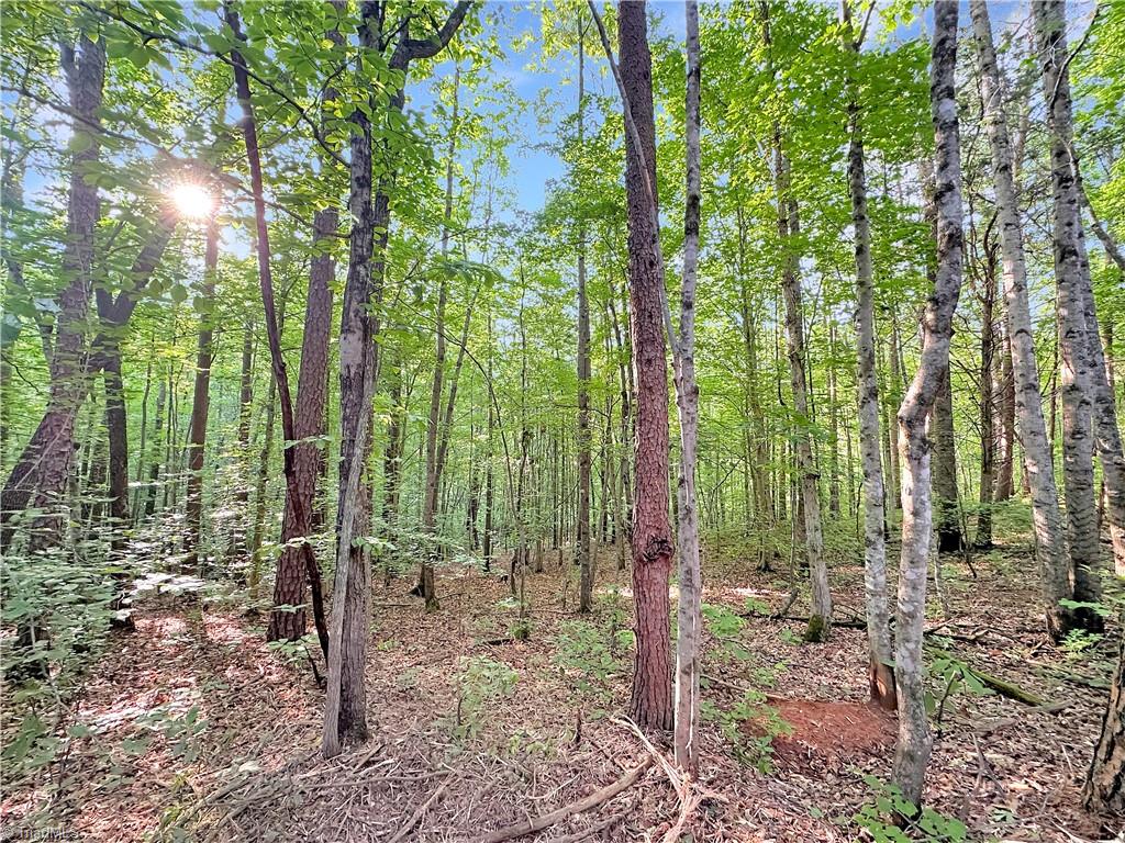 7612 Ridge Road Tobaccoville, NC 27050 - Photo 8 of 23 Gallery Image 8