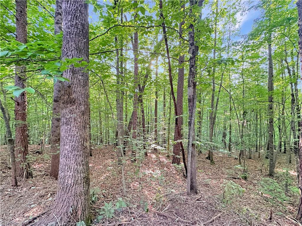7612 Ridge Road Tobaccoville, NC 27050 - Photo 9 of 23 Gallery Image 9