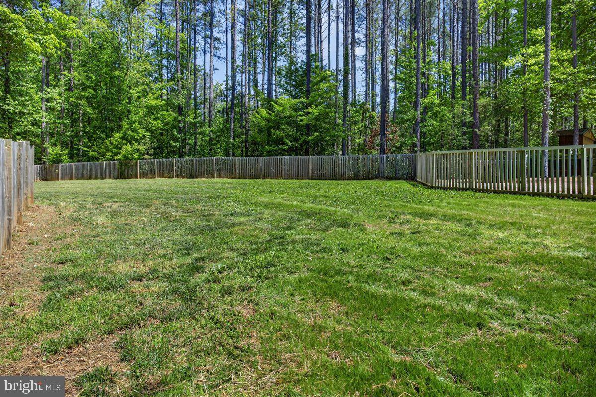 844 Manchester Road Bumpass, VA 23024 - Photo 57 of 65 Fenced in backyard