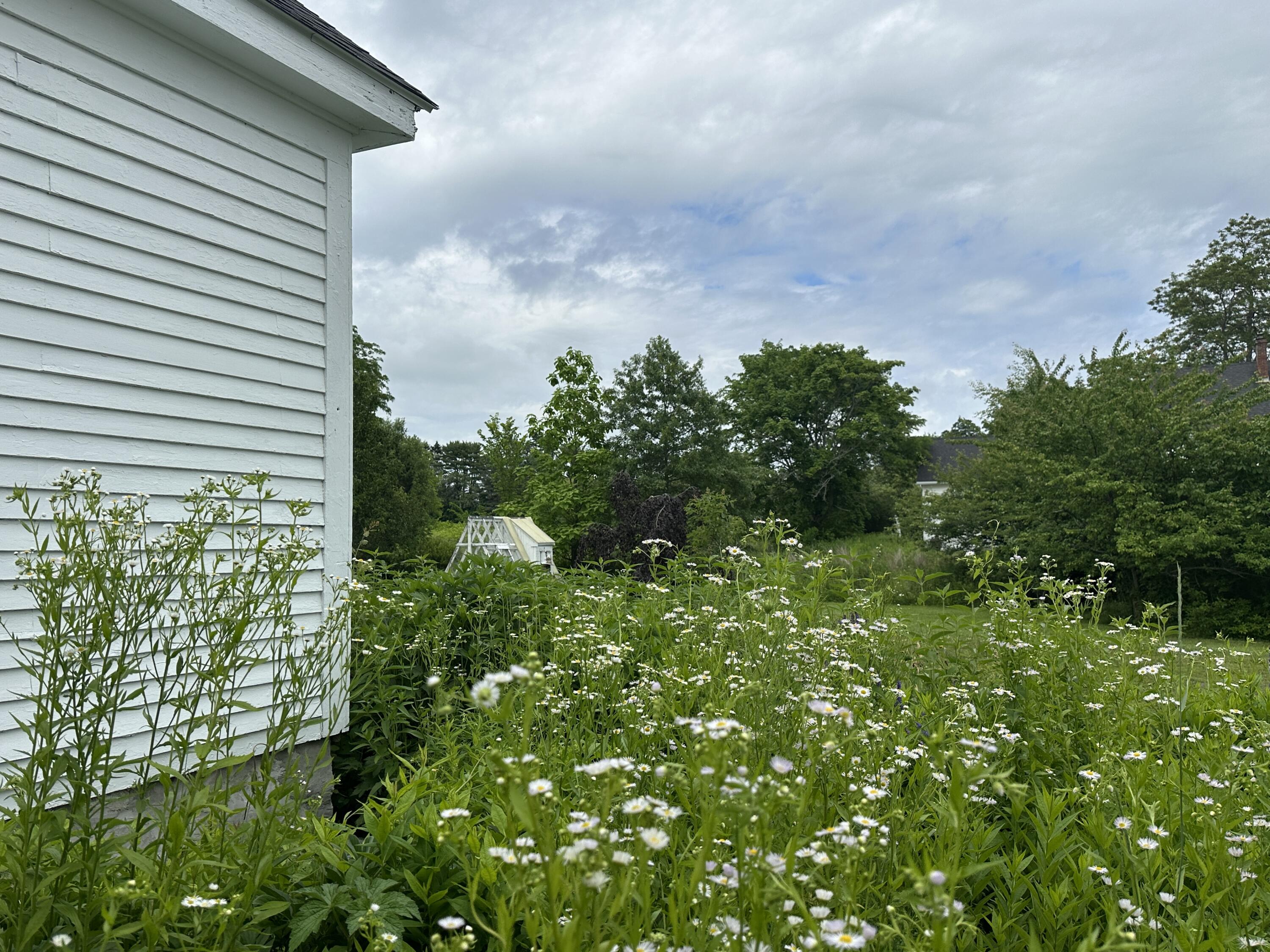 441 Main Street Thomaston, ME 04861 - Photo 75 of 103 Daisies