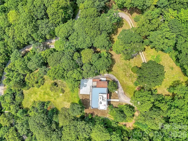 a view of a yard with a tree in the background
