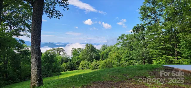 a view of a lake with a mountain in the background