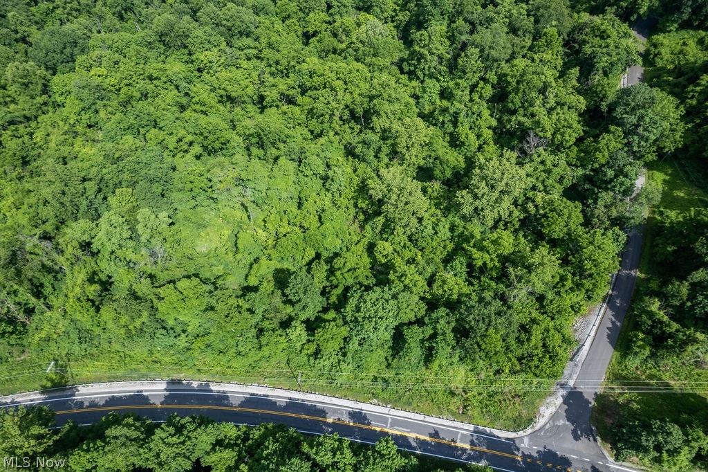 0 Windy Rdg Road Elizabeth, WV 26143 - Photo 4 of 12
