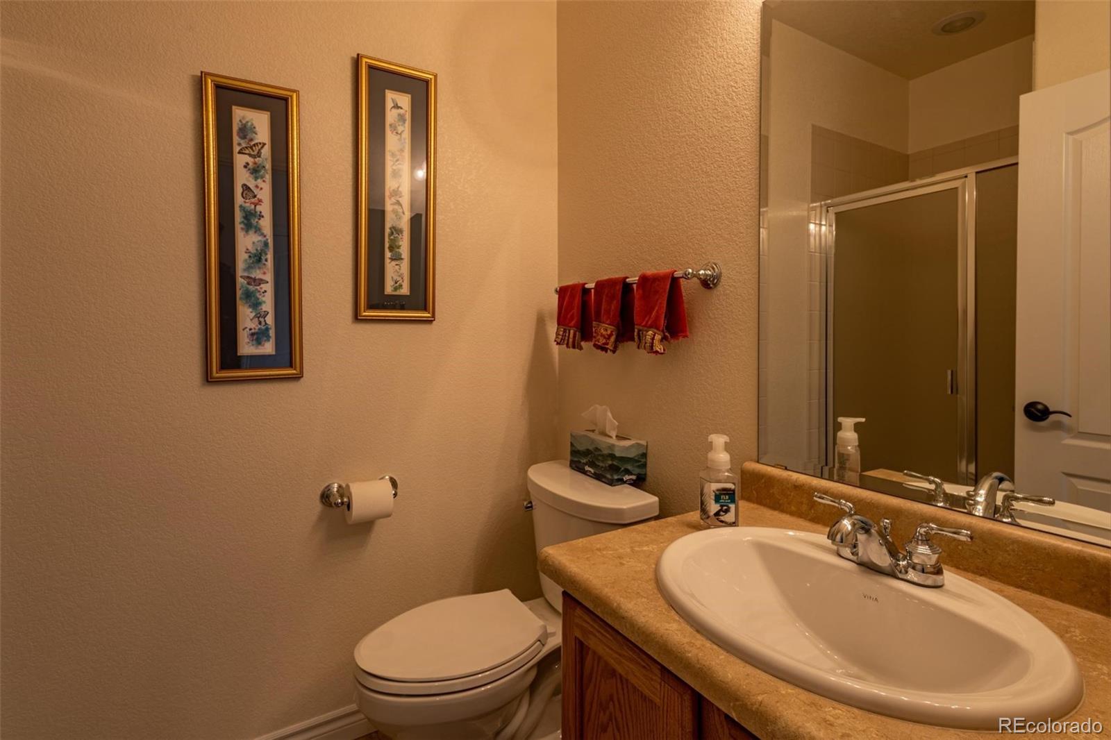 9145 Viaggio Way Highlands Ranch, CO 80126 - Photo 20 of 34 Gallery Image 20