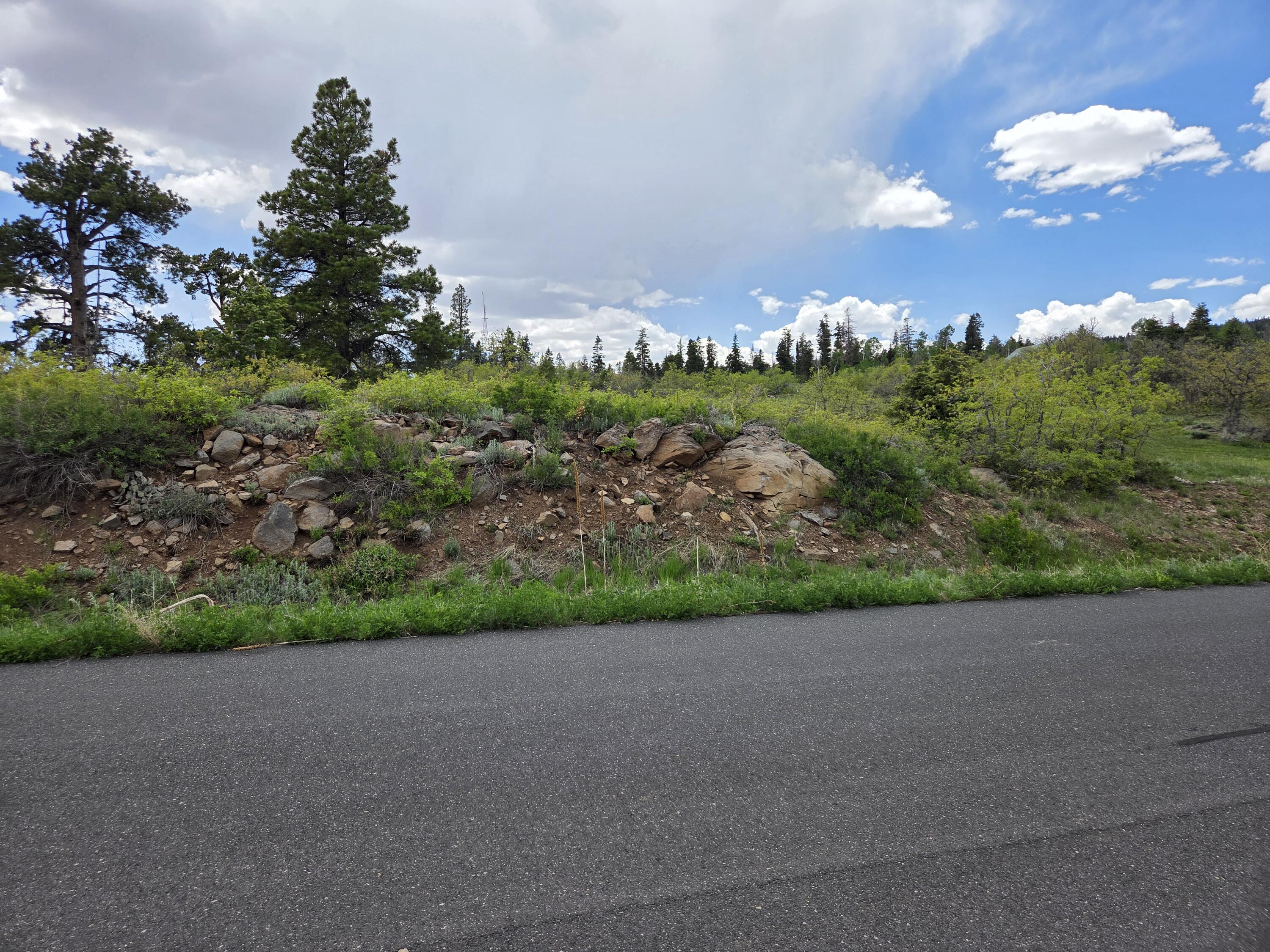Lot 10 Spring Drive, Unit 10 Springdale, UT 84767 - Photo 14 of 18 1000006213