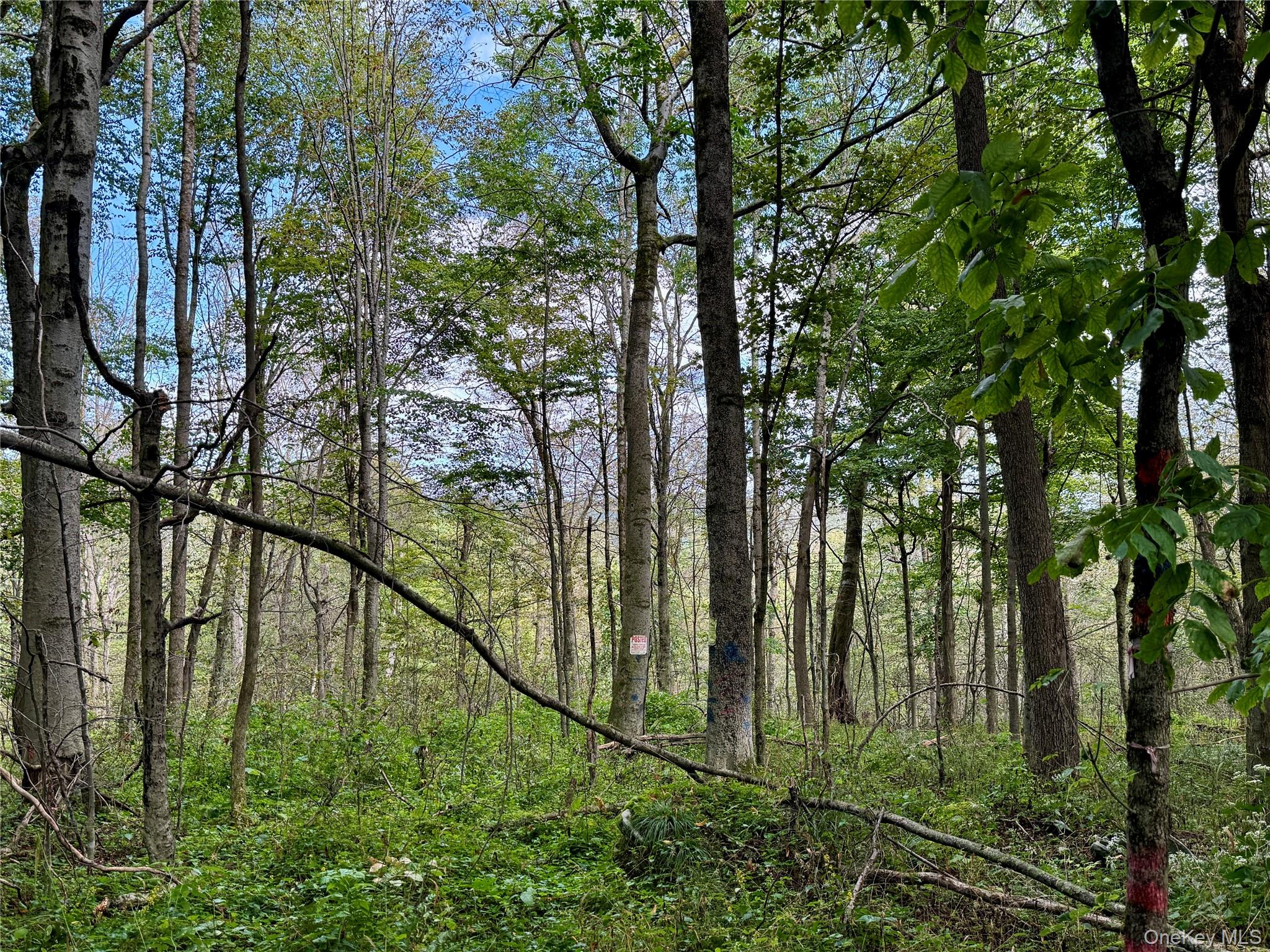 216 Neer Road Long Eddy, NY 12760 - Photo 10 of 48