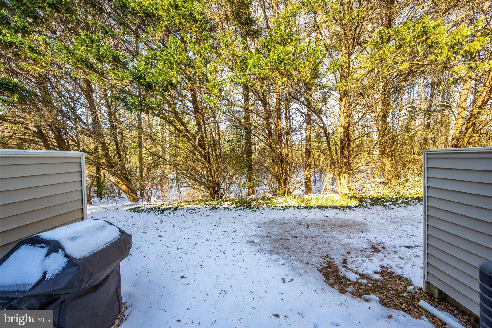 730 Canvasback Court Salisbury, MD 21804 - Photo 33 of 43 a view of a backyard with green space