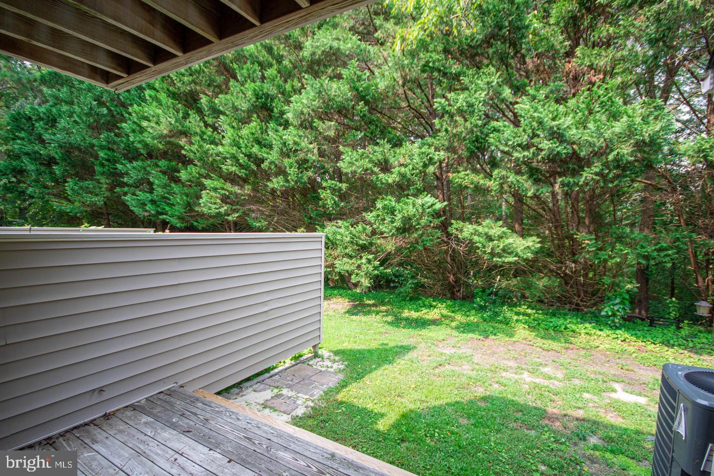 730 Canvasback Court Salisbury, MD 21804 - Photo 36 of 43 a view of a backyard with plants and large trees