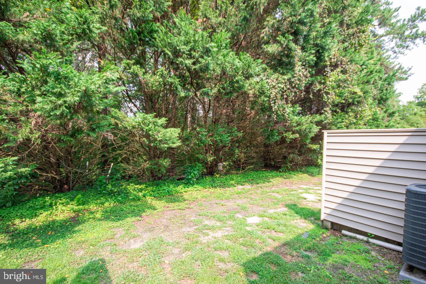730 Canvasback Court Salisbury, MD 21804 - Photo 37 of 43 a backyard of a house with plants and large trees