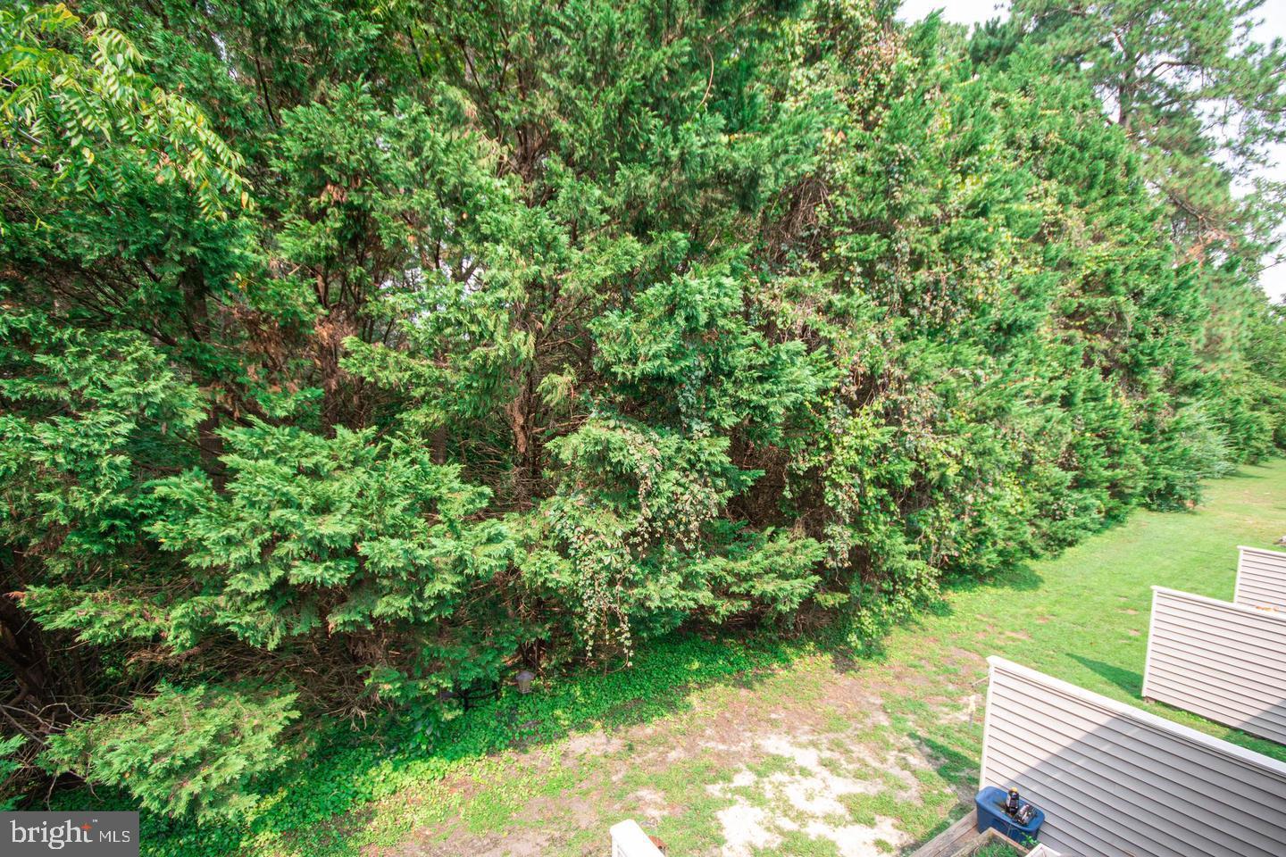 730 Canvasback Court Salisbury, MD 21804 - Photo 38 of 43 a view of a garden