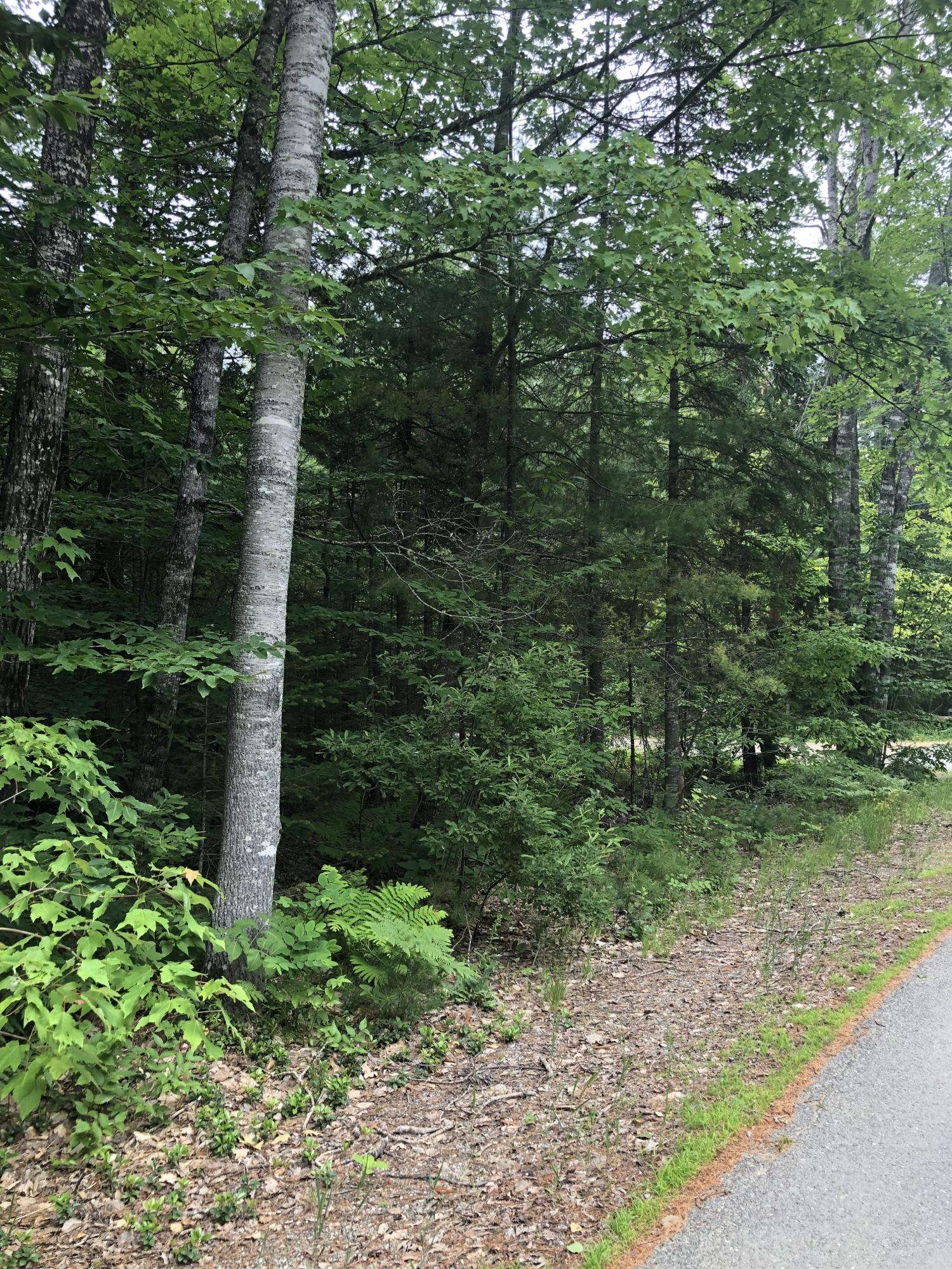 Tbd Getchell Road Clifton, ME 04428 - Photo 5 of 7 IMG_2283