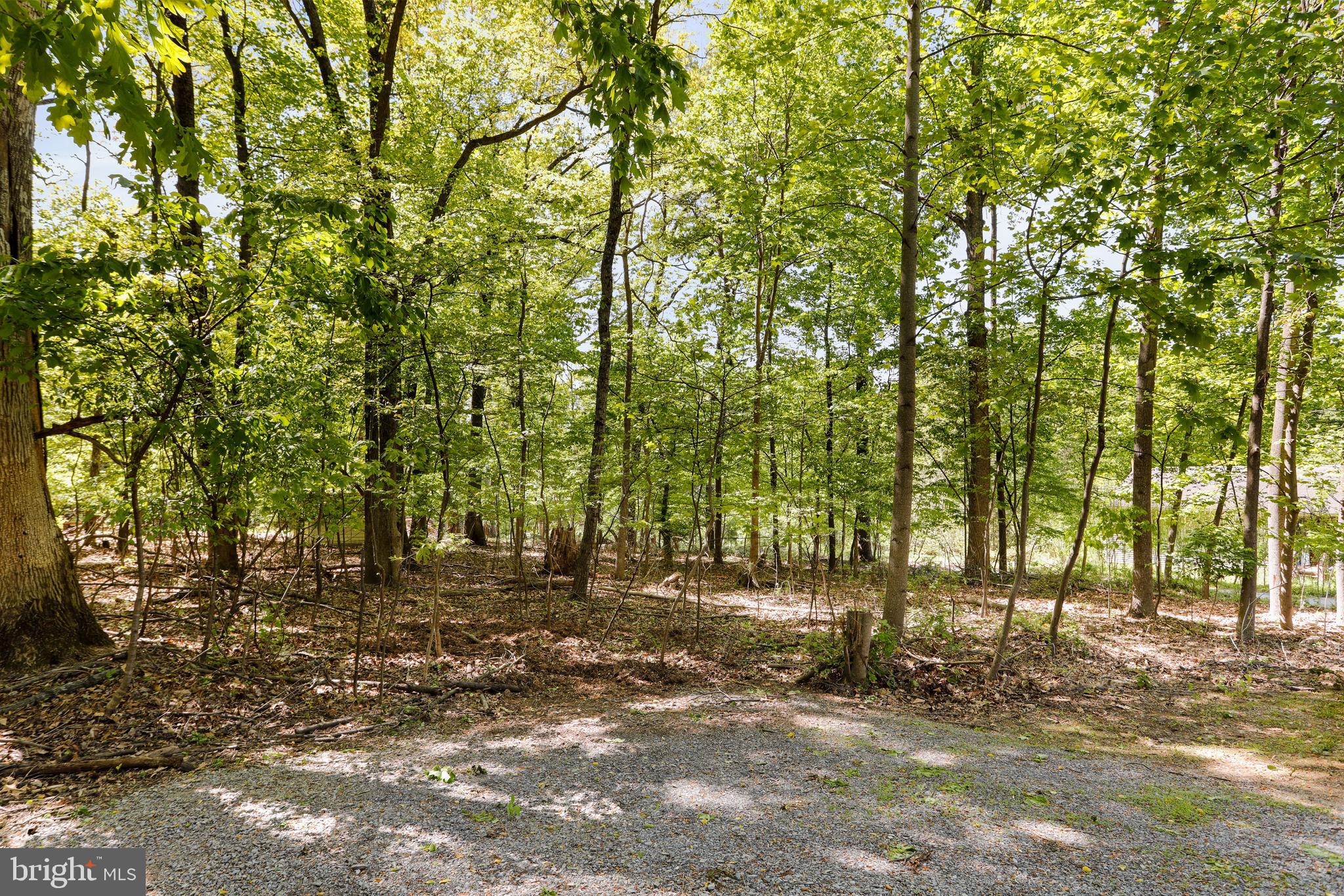 349 Maple Ridge Lane Harpers Ferry, WV 25425 - Photo 6 of 49