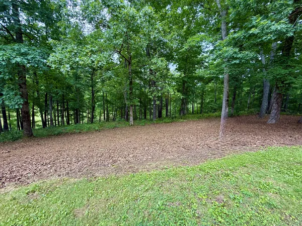 a view of a yard with a trees