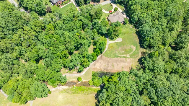 a view of a plant in a garden