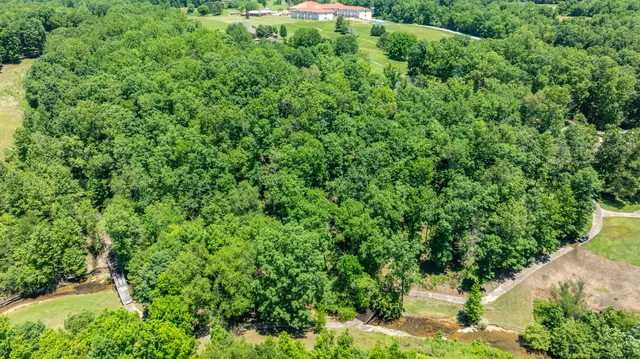a view of a garden with plants