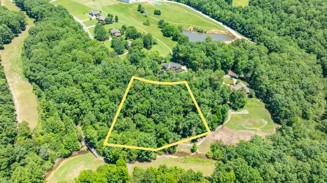 an aerial view of a garden