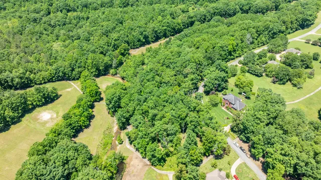 an aerial view of a garden with plants