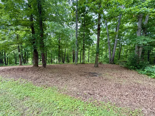 a view of outdoor space and yard