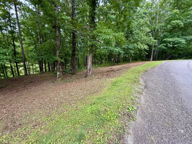 a view of outdoor space and trees
