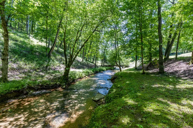a view of park with trees