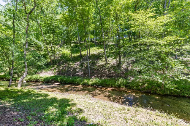 a backyard of a house with lots of green space and fountain
