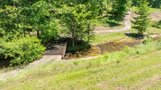 a view of yard with green space