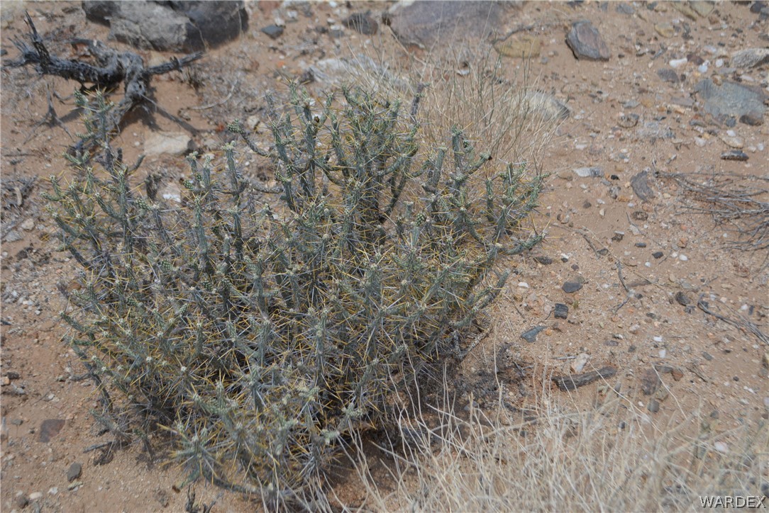 208-24-134 Cameron Road Yucca, AZ 86438 - Photo 30 of 86
