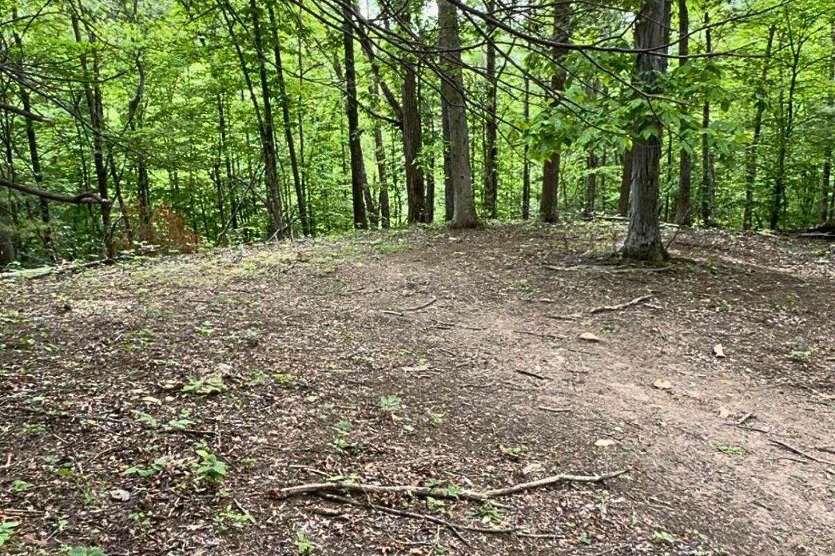 3994 Yates Road Shawsville, VA 24162 - Photo 29 of 40 land for sale in shawsville va 26