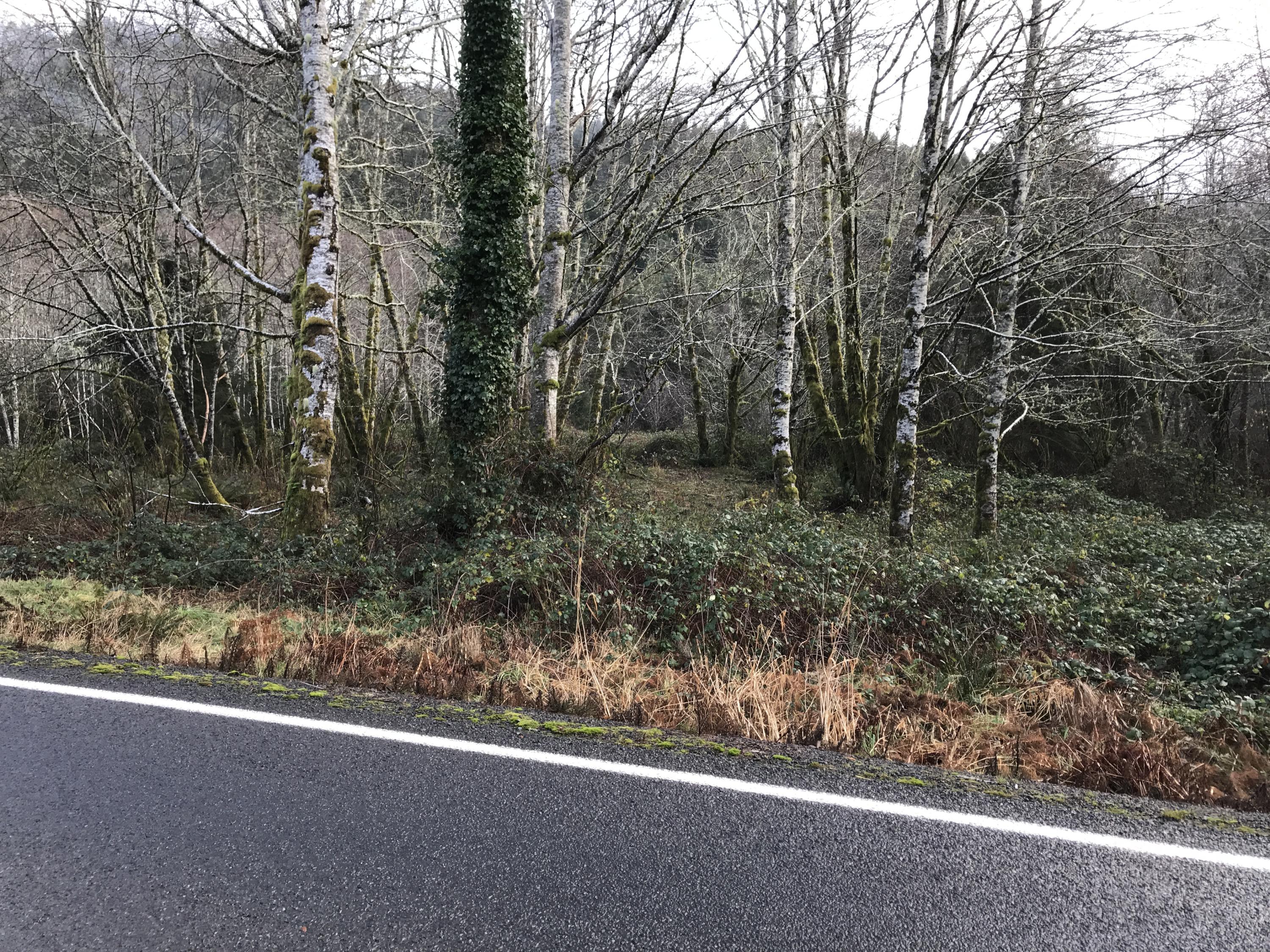 V/l Miami Foley Road Nehalem, OR 97131 - Photo 14 of 21 Street View