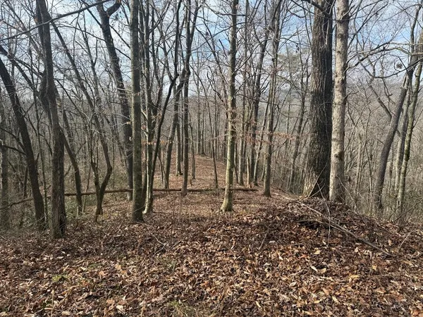 $22,500 | 0 Smoky Mountain Ridge, Marble, NC 28905