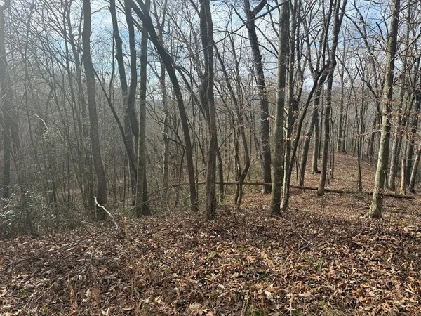 $22,500 | 0 Smoky Mountain Ridge, Marble, NC 28905