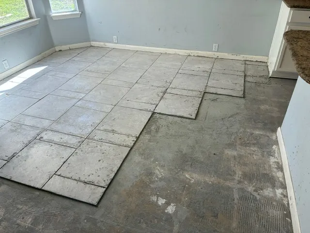 a view of park with large trees