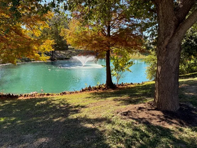 a view of a park with large trees