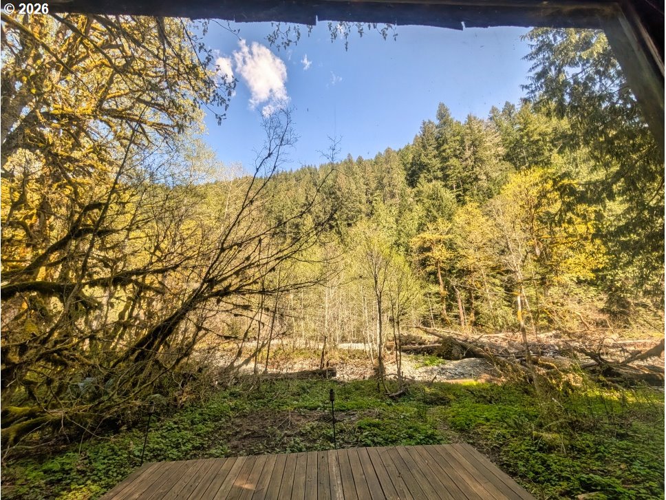 30460 Road 12 Rhododendron, OR 97049 - Photo 19 of 29 a view of a yard